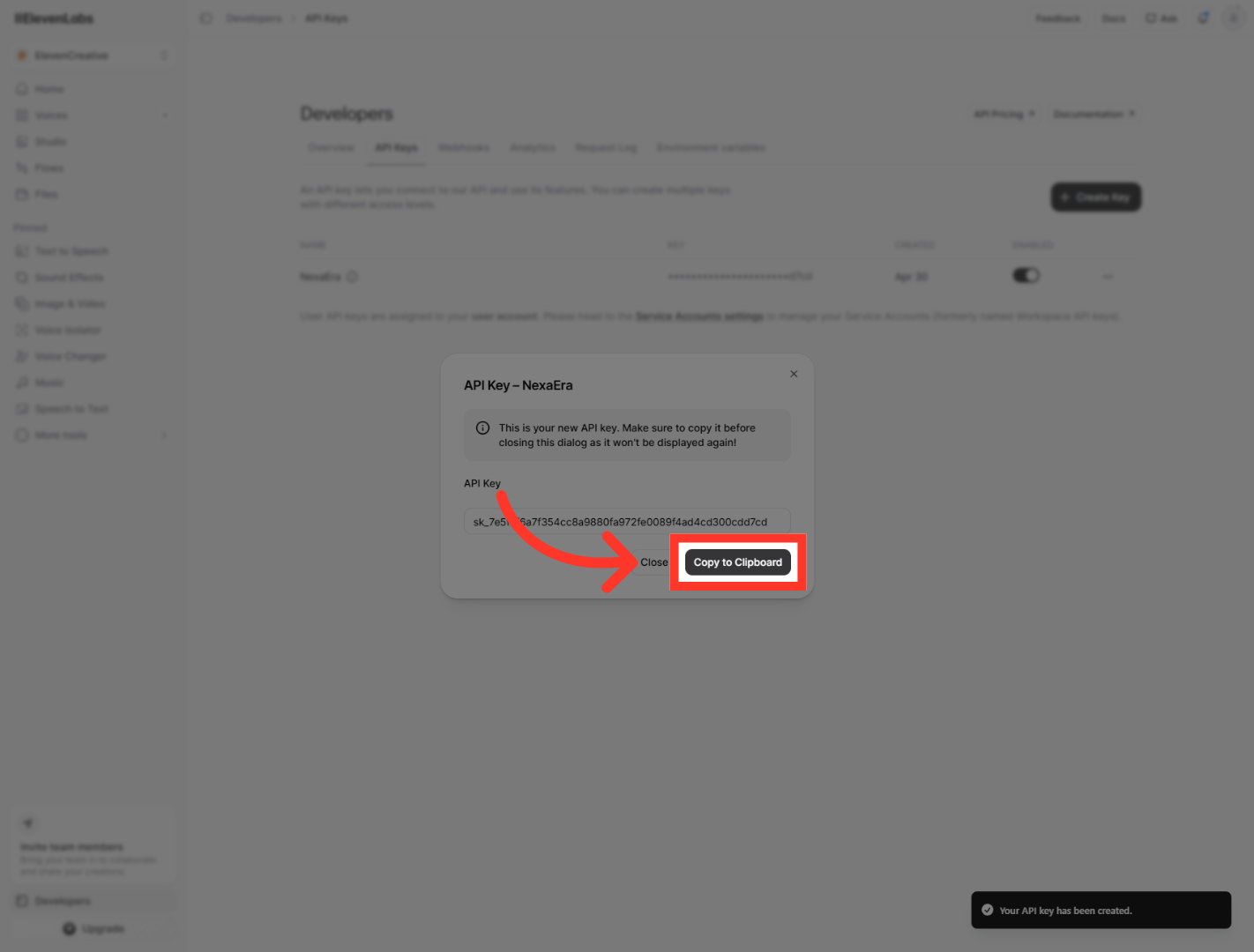 Copy API Key