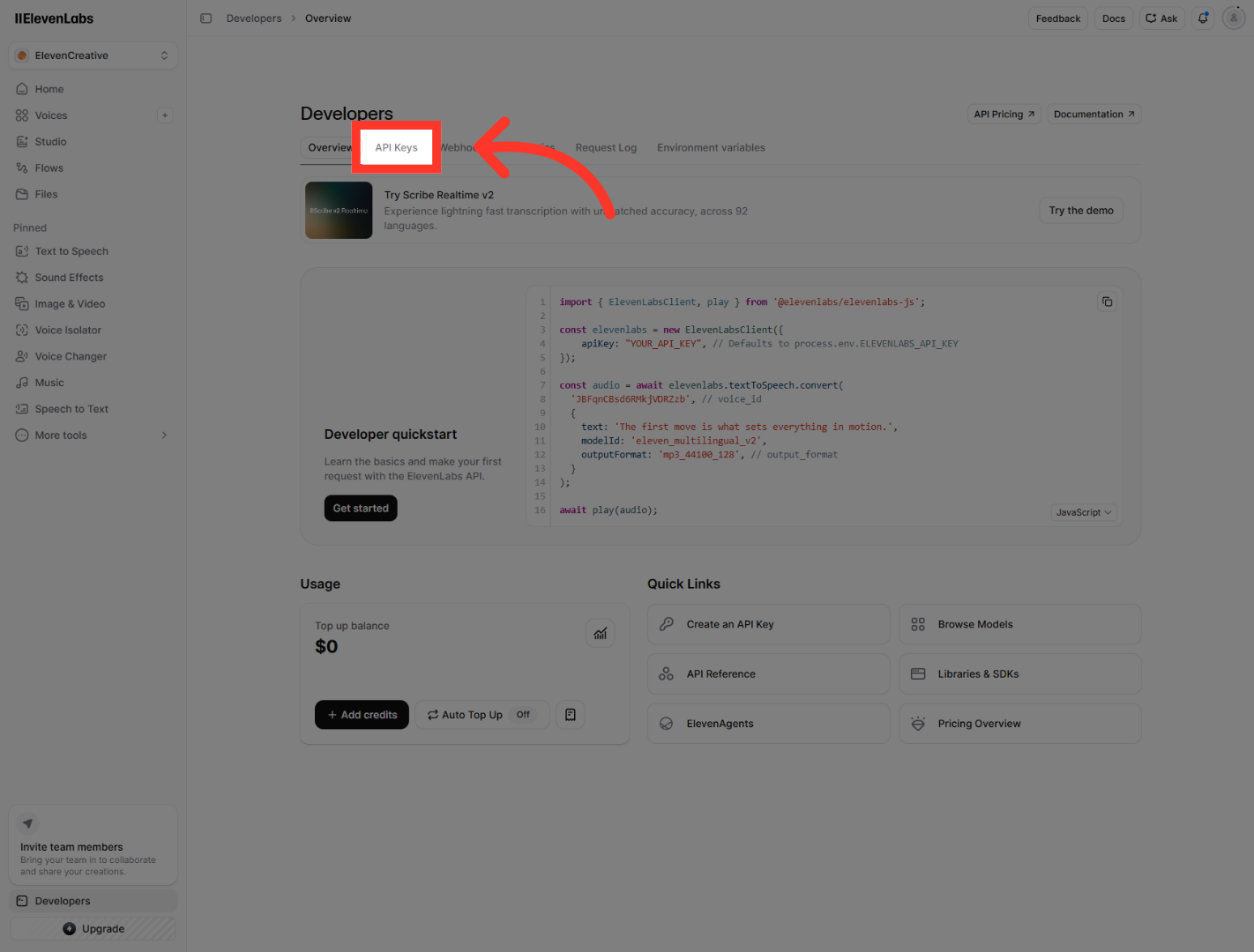 Access API Keys Page
