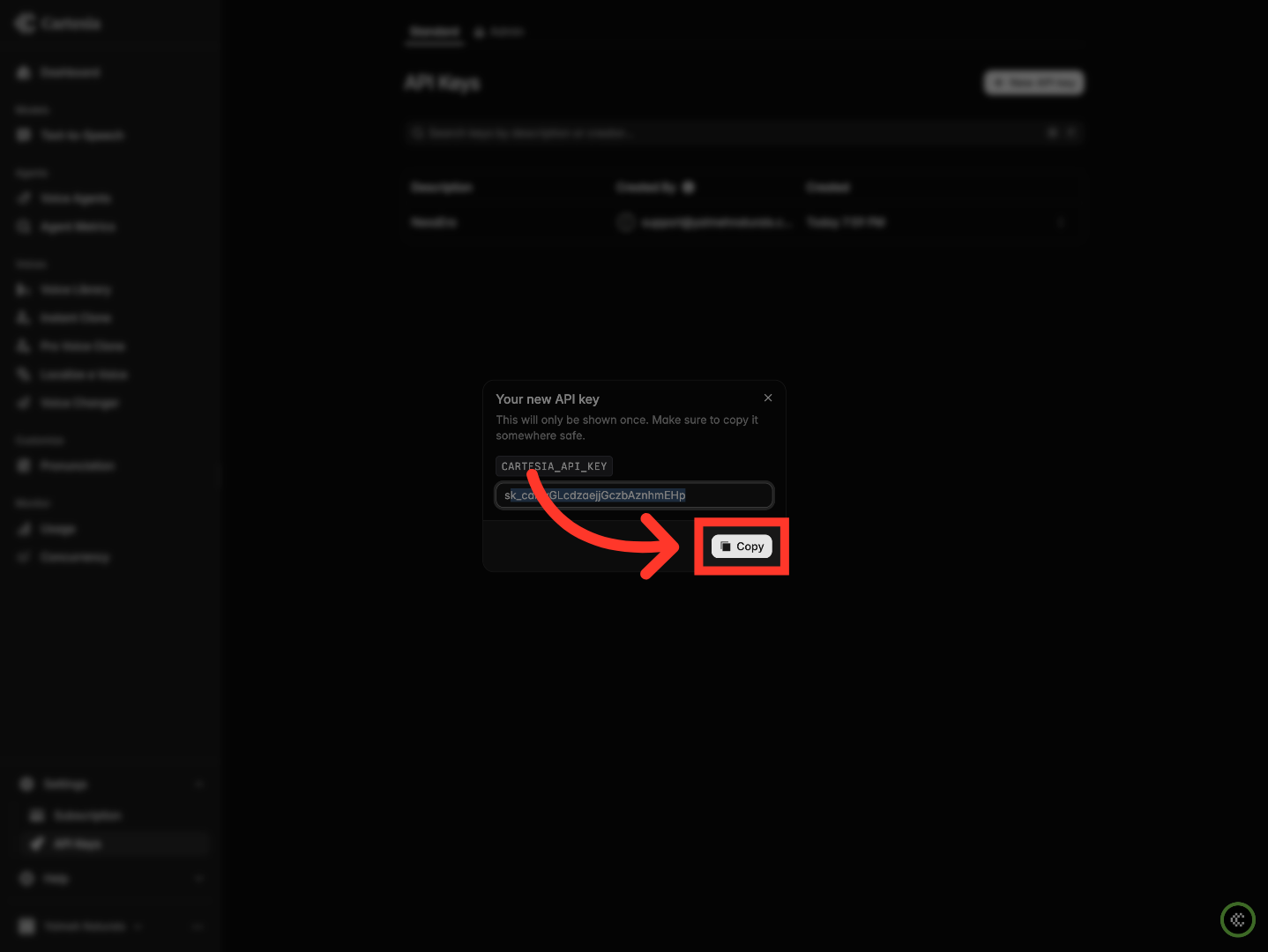Copy API Key