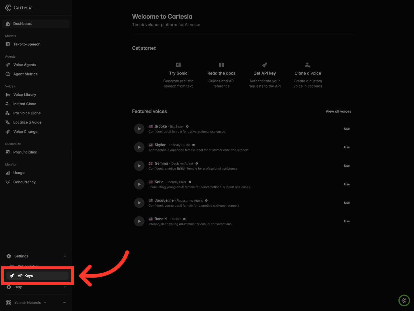 Navigate To API Keys