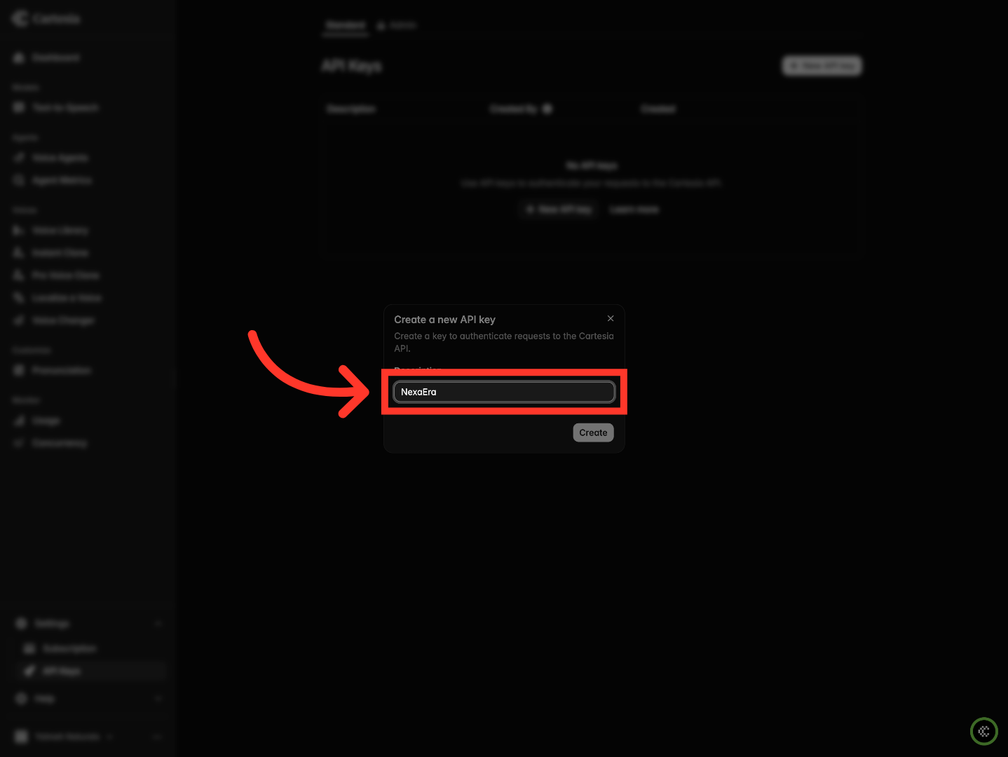 Enter API Key Description