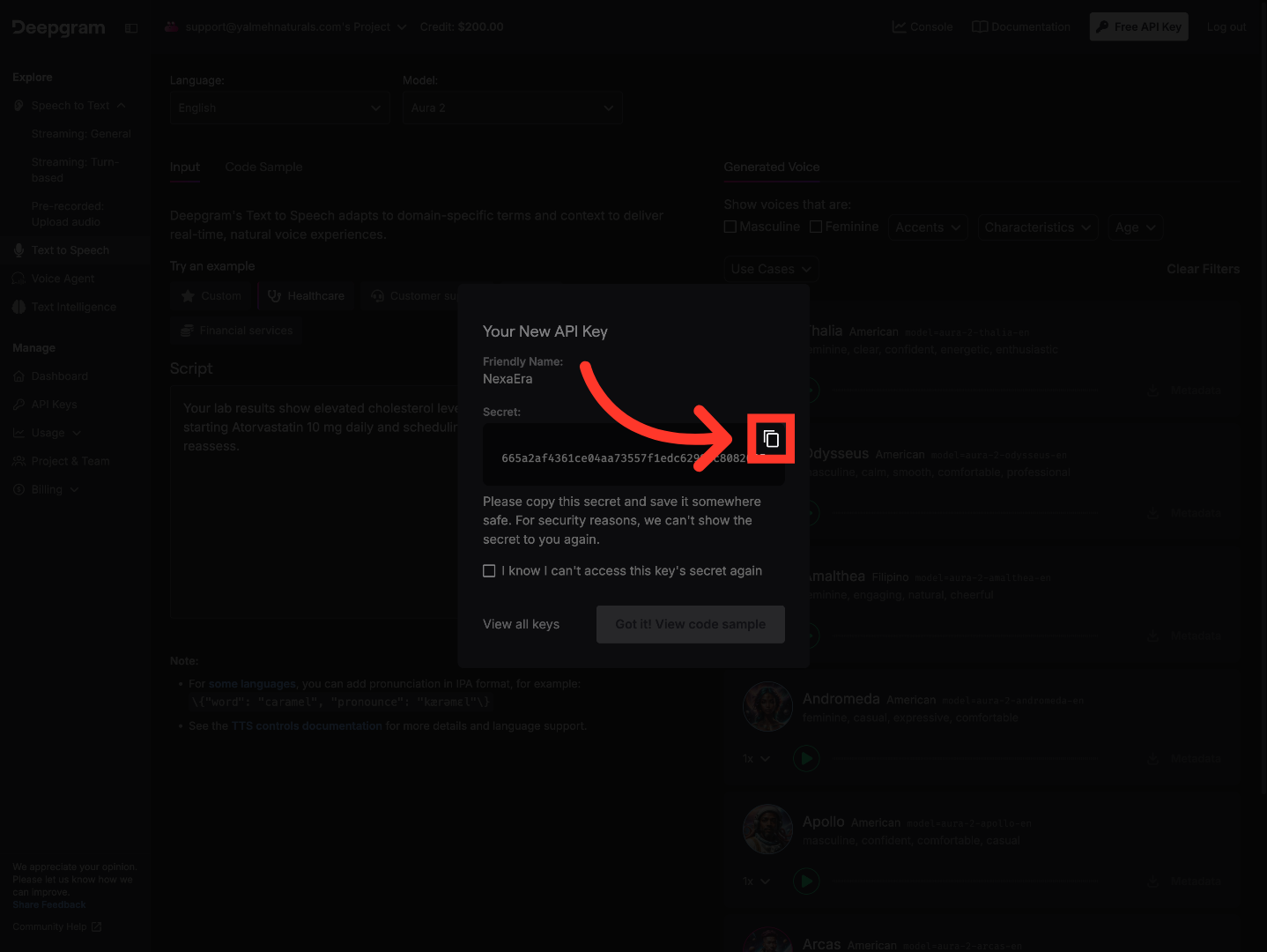 Copy API Key