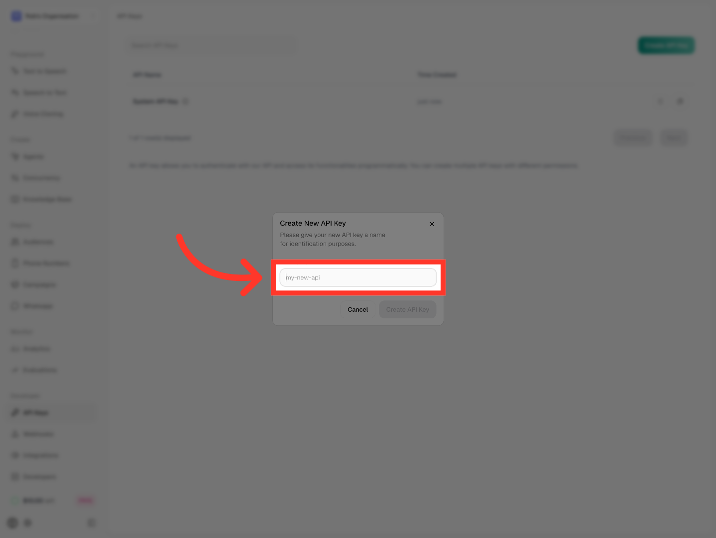 Select API Name Field