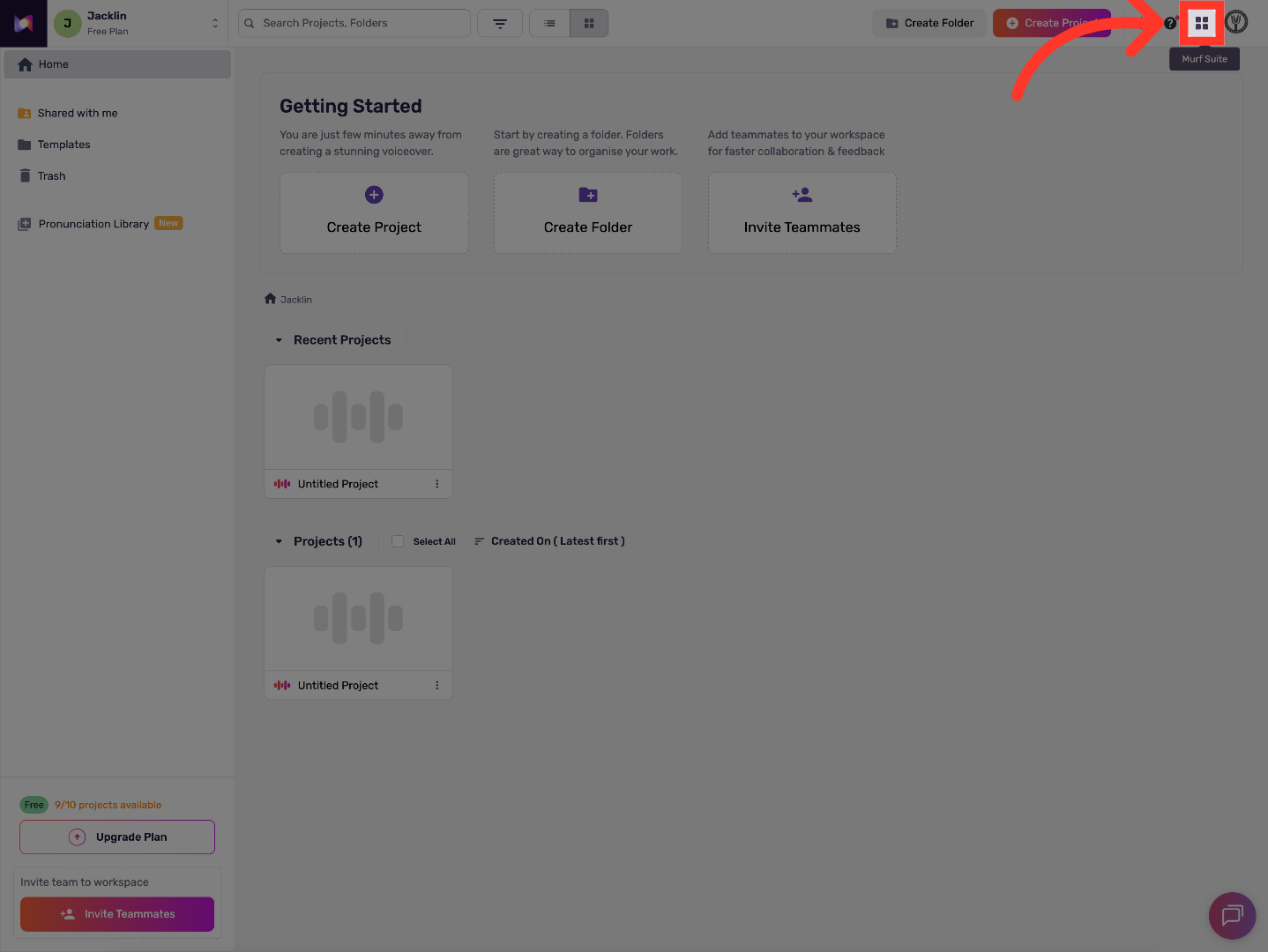Access Murf API Options