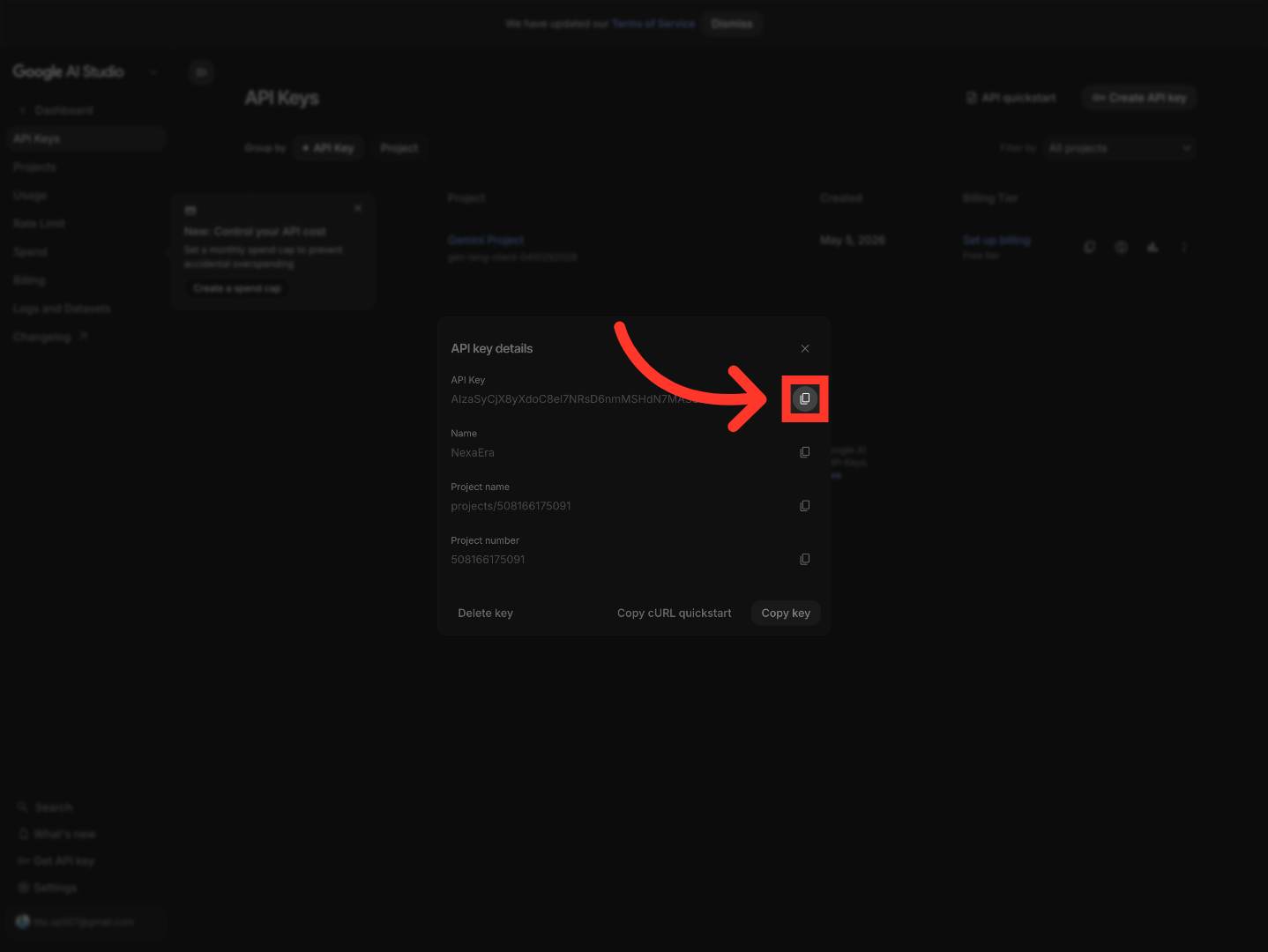 Copy API Key