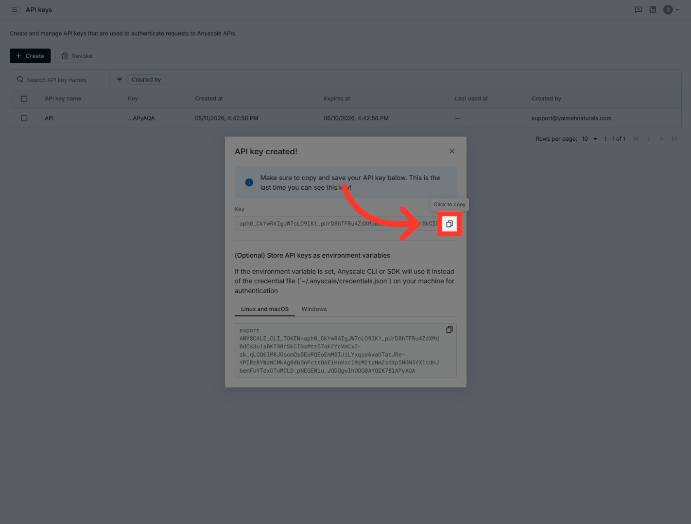 Access API Key Details