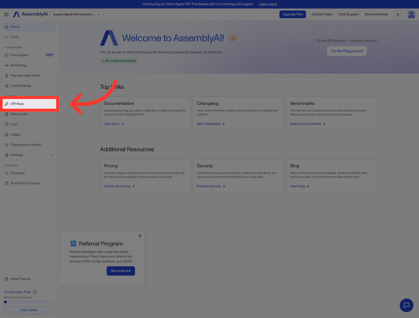 Access API Keys Section