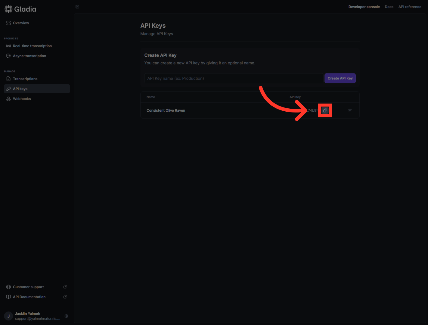 Open API Key Options
