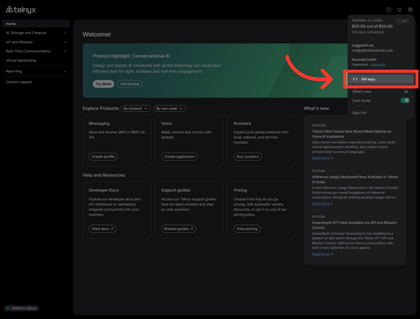 Open API Keys Section