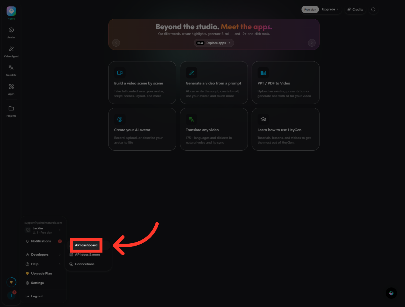 Access API Dashboard