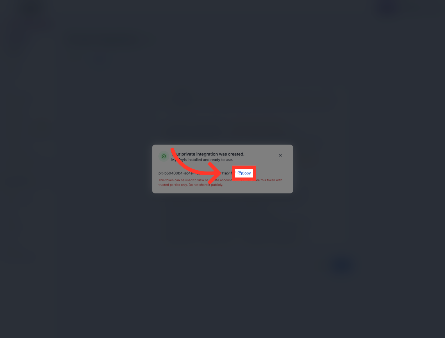 Copy API Key