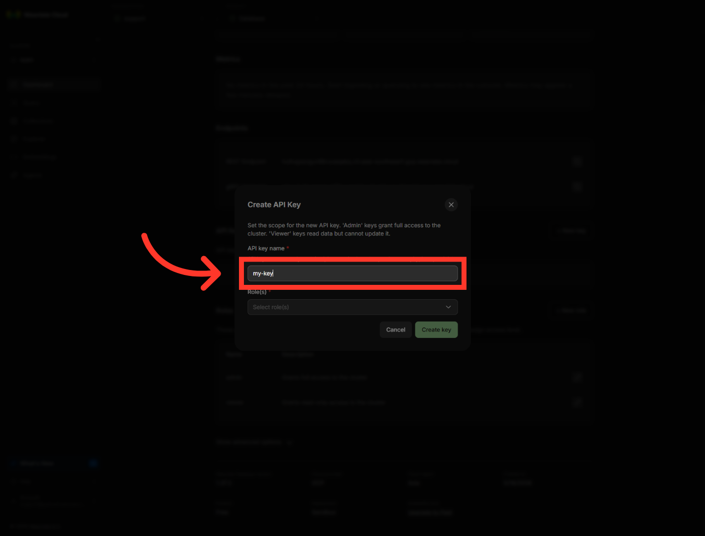 Enter API Key Name