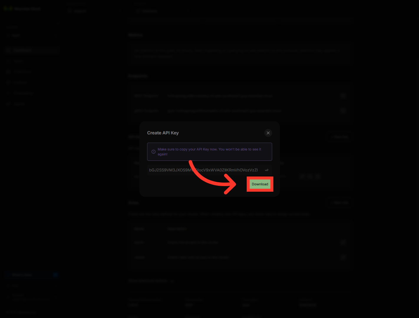 Download API Key