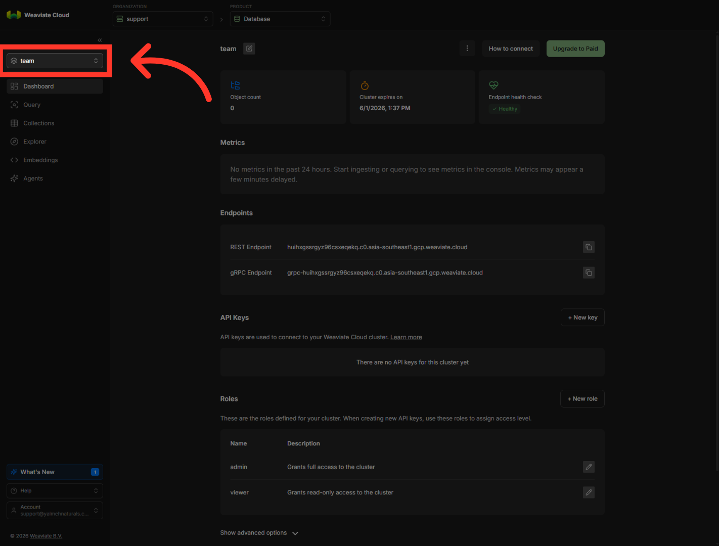 Access Team Section