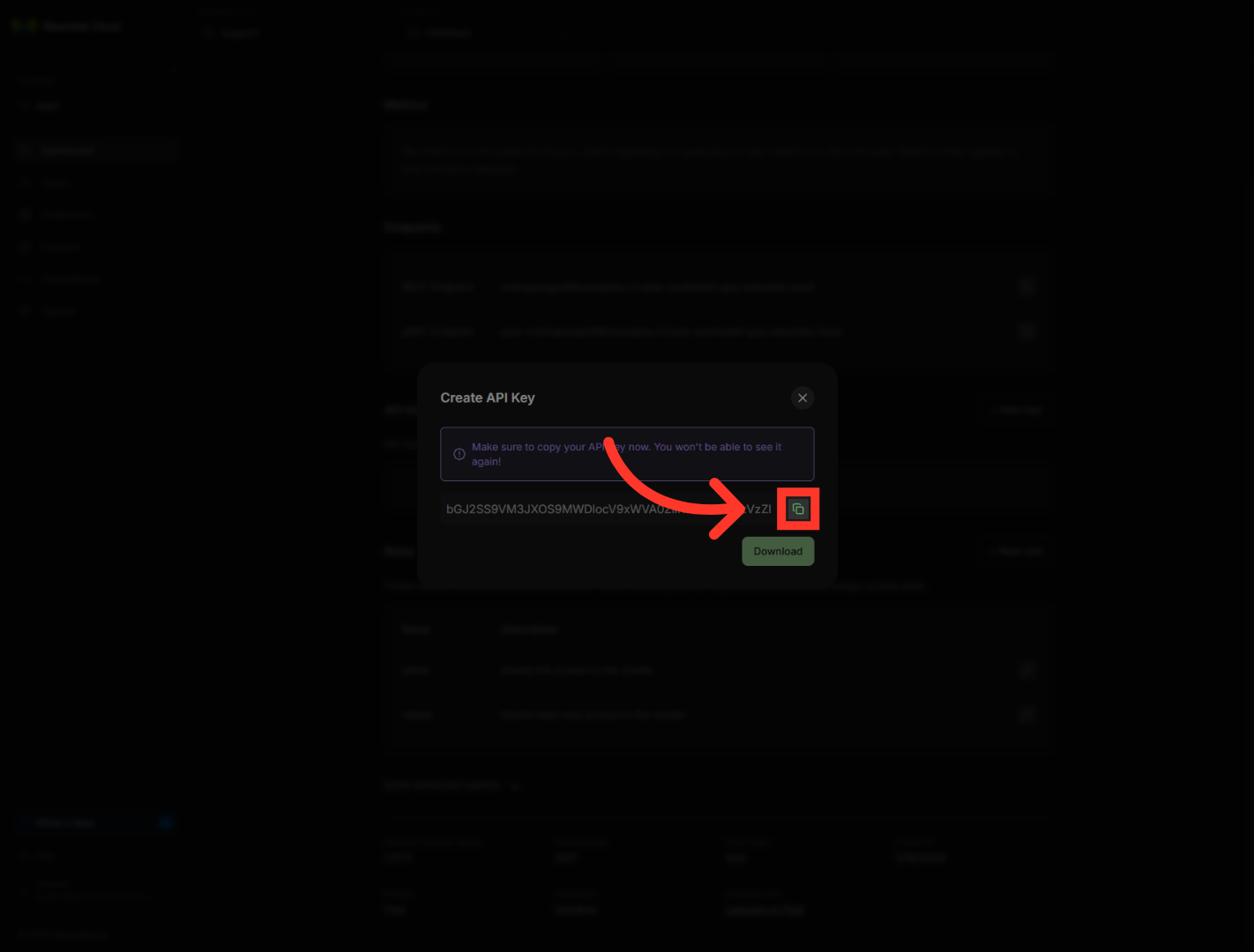 Access Key Options